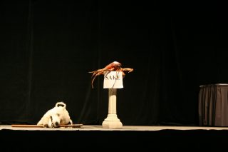 IMG_8974.jpg
