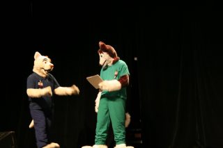 IMG_8991.jpg