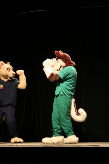 IMG_9068.jpg
