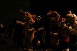 IMG_9213.jpg