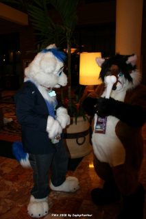 IMG_0259.jpg