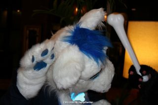 IMG_0262.jpg