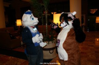 IMG_0263.jpg
