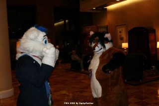 IMG_0267.jpg