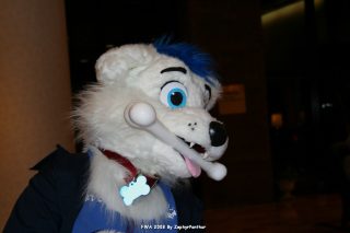IMG_0270.jpg