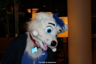 IMG_0273.jpg
