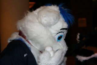 IMG_0275.jpg