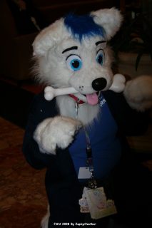 IMG_0281.jpg