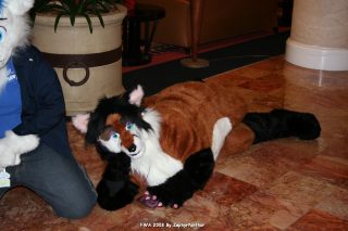 IMG_0284.jpg