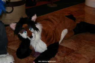 IMG_0285.jpg