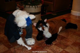 IMG_0286.jpg