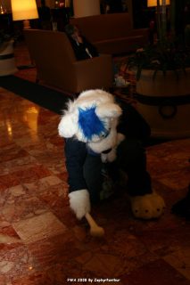 IMG_0289.jpg