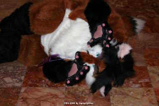 IMG_0293.jpg