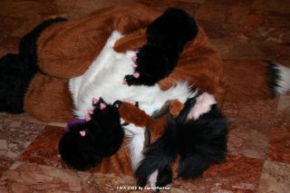 IMG_0294.jpg