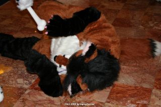 IMG_0295.jpg