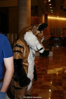 IMG_0327.jpg