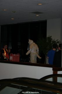 IMG_0358.jpg