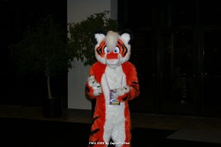 IMG_0362.jpg