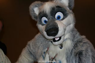 IMG_0372.jpg
