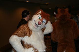 IMG_0385.jpg