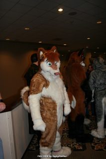 IMG_0387.jpg