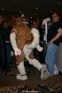 IMG_0390.jpg