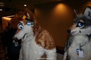 IMG_0391.jpg