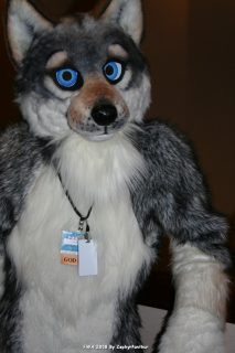 IMG_0400.jpg