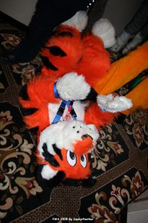 IMG_0425.jpg