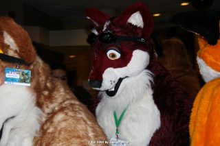 IMG_0432.jpg