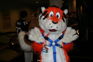 IMG_0474.jpg