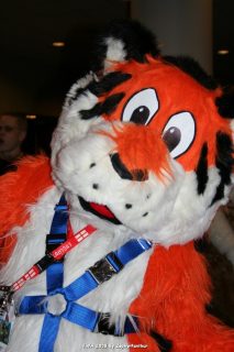 IMG_0477.jpg
