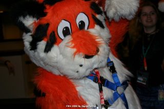 IMG_0478.jpg