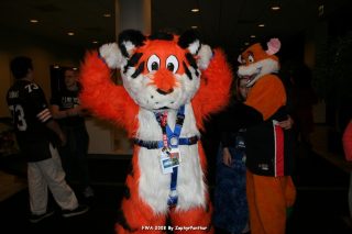 IMG_0479.jpg