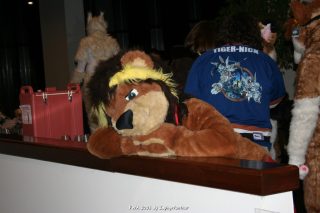 IMG_0491.jpg