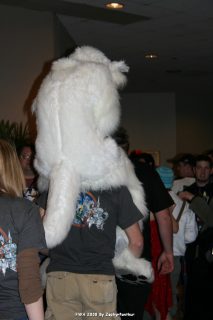 IMG_0512.jpg