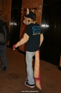 IMG_0518.jpg