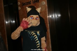 IMG_0519.jpg