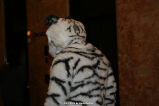 IMG_0526.jpg