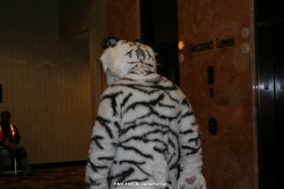 IMG_0527.jpg