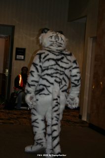IMG_0528.jpg