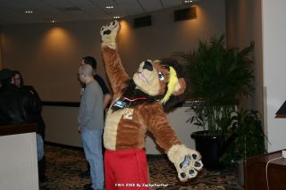 IMG_0551.jpg