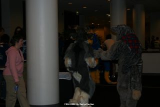 IMG_0560.jpg