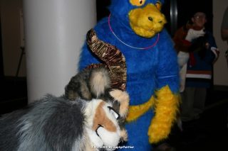 IMG_0569.jpg