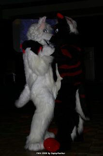 IMG_0588.jpg