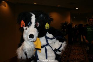 IMG_0618.jpg