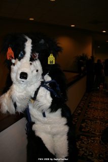 IMG_0620.jpg