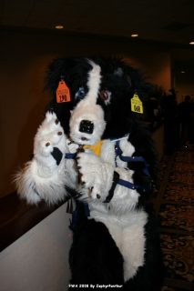IMG_0621.jpg