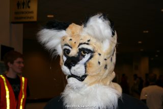 IMG_0650.jpg