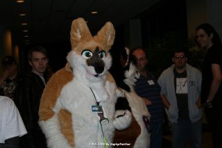 IMG_0672.jpg